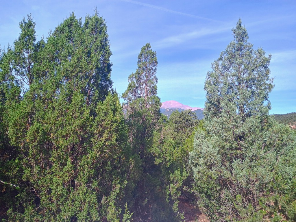 IMG_20250722_090102384_HDR_AE.jpg