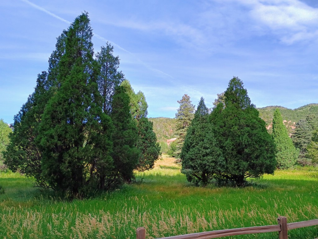 IMG_20250722_091020546_HDR_AE.jpg