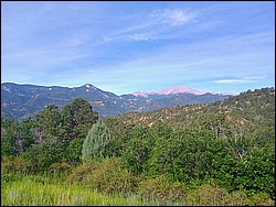 IMG_20250722_085312410_HDR_AE.jpg