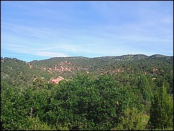 IMG_20250722_085317316_AE.jpg