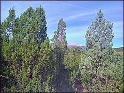 IMG_20250722_090102384_HDR_AE.jpg