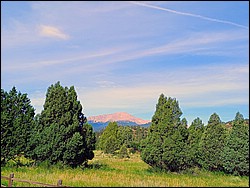 IMG_20250722_090754581_AE.jpg