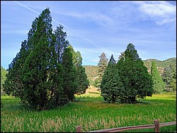 IMG_20250722_091020546_HDR_AE.jpg