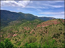 IMG_20250722_112046485_HDR_AE.jpg