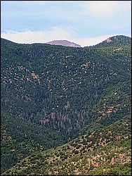 IMG_20250722_112124249_AE.jpg