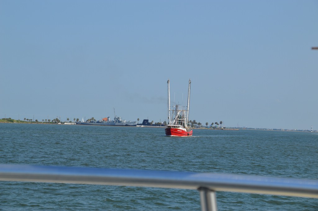 DSC_0011.JPG