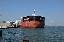 DSC_0005.JPG