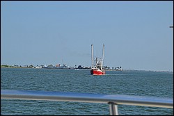 DSC_0011.JPG