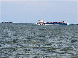 IMG_20250915_163844134_AE.jpg