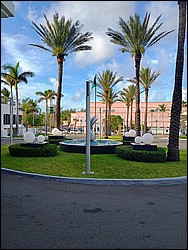 IMG_20260501_081942719_HDR_AE.jpg