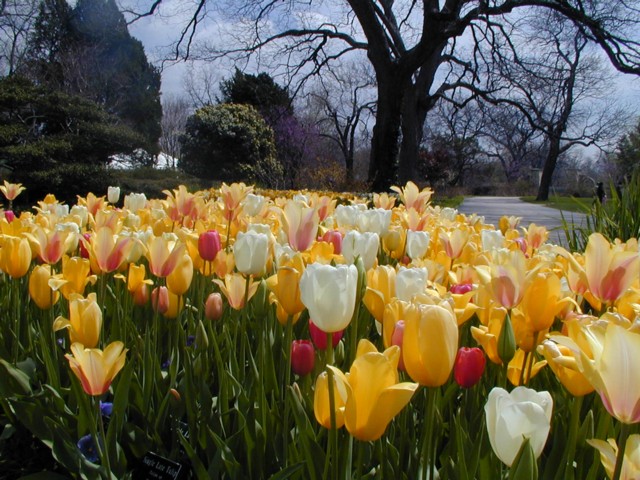 Image001.jpg