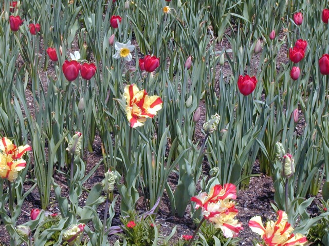 Image003.jpg