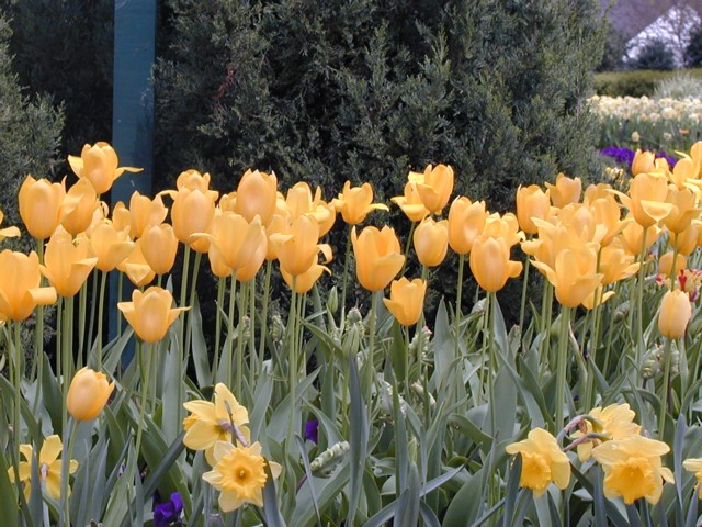 Image005.jpg