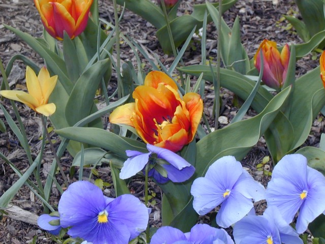 Image011.jpg