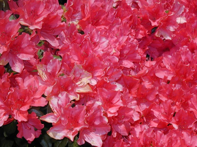 Image013.jpg