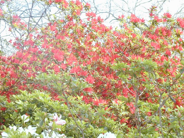 Image014.jpg