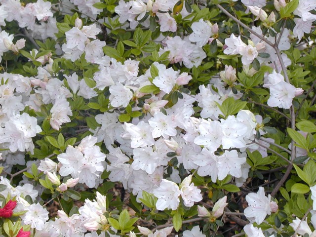 Image015.jpg