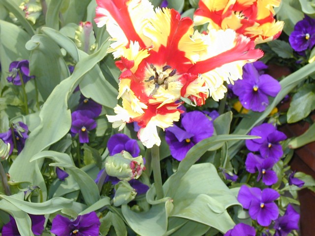 Image016.jpg
