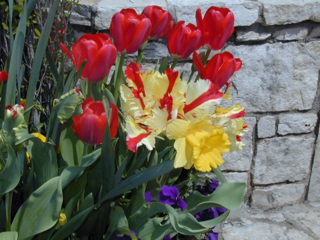 Image017.jpg