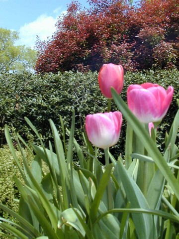 Image018.jpg