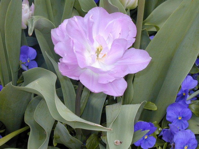 Image019.jpg