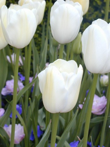 Image020.jpg