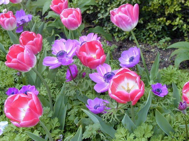 Image022.jpg