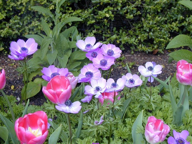 Image023.jpg