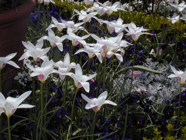 Image024.jpg