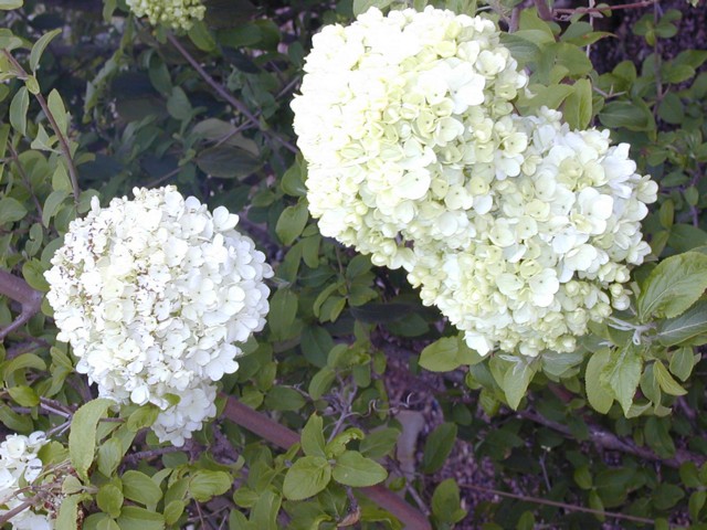 Image025.jpg