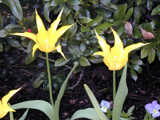 Image026.jpg