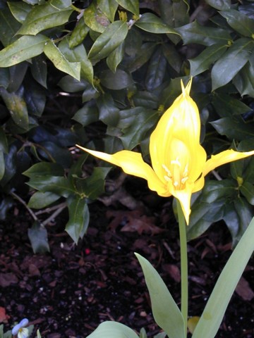 Image027.jpg