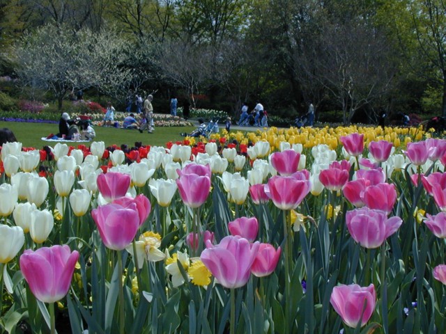 Image031.jpg