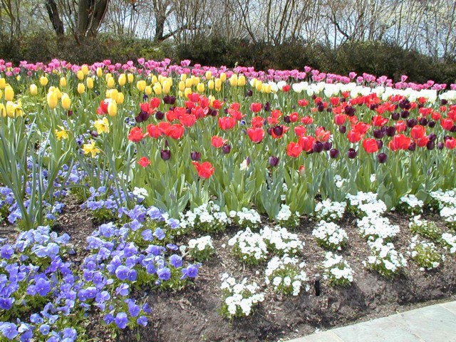 Image033.jpg
