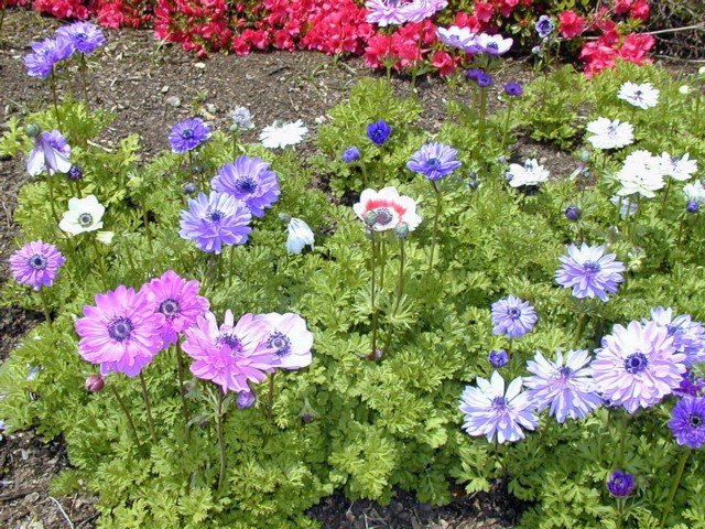 Image037.jpg