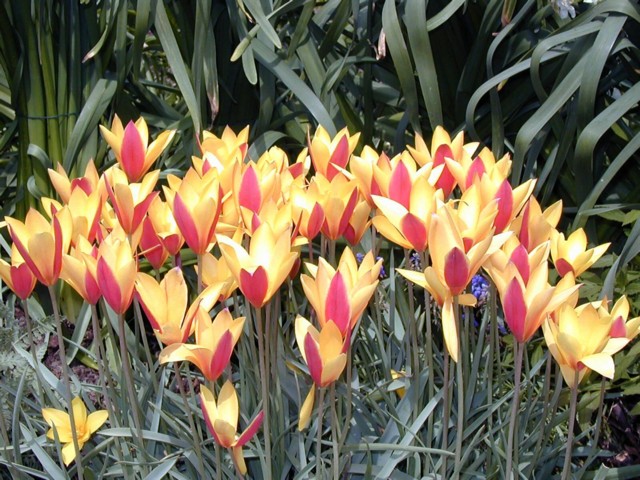 Image040.jpg