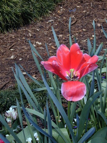 Image041.jpg