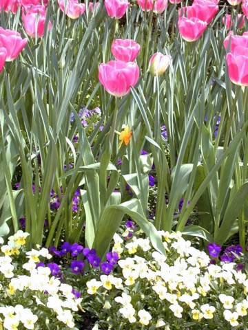 Image043.jpg