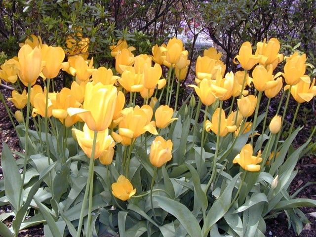 Image044.jpg