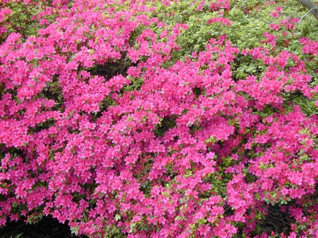 Image045.jpg