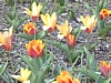Image012.jpg