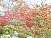 Image014.jpg