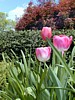 Image018.jpg