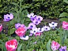 Image023.jpg