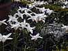 Image024.jpg