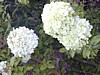 Image025.jpg