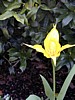 Image027.jpg