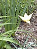 Image039.jpg