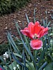 Image041.jpg