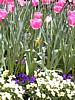 Image043.jpg